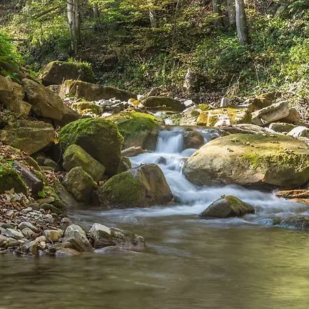 דירה старий млин