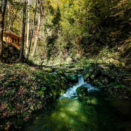 דירה старий млин