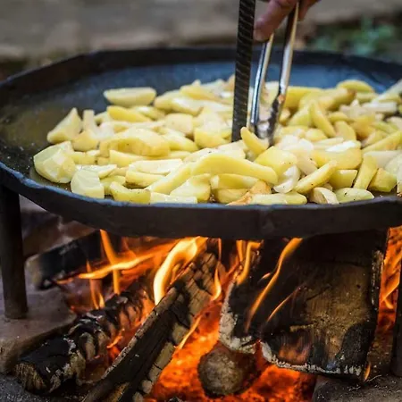 старий млин Apartment